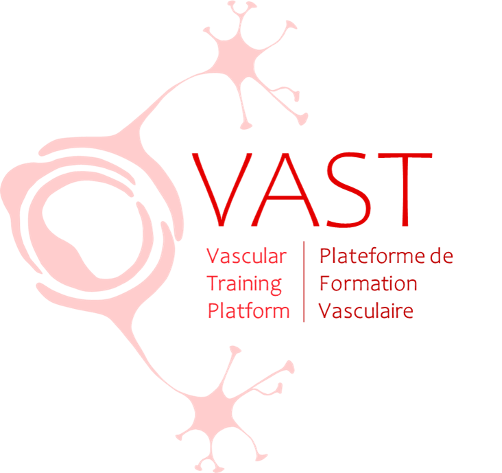 Vascular Aging and Stroke Team affiliation